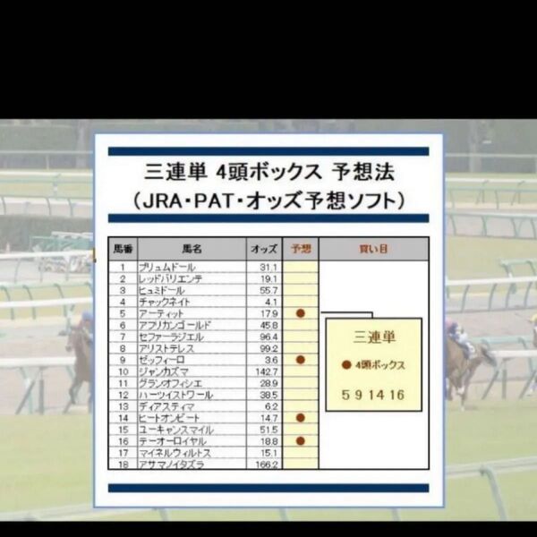 __三連単で248万円稼いだ競馬予想法__回収率345%~1740%__(JRA・PAT・予想)
