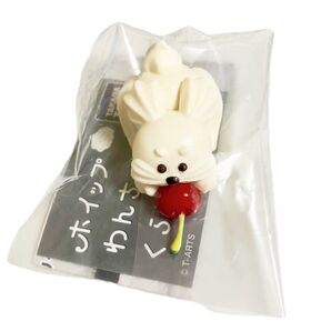 ホイップわんちゃんのくらし あそんで!