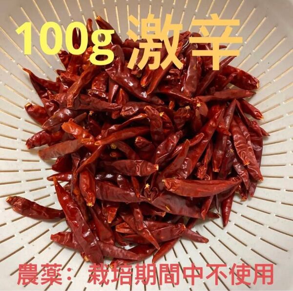 鷹の爪 赤唐辛子 100g EM農法 乾燥赤唐辛子 (激辛) 農薬栽培期間中不使用鷹の爪 トウガラシ