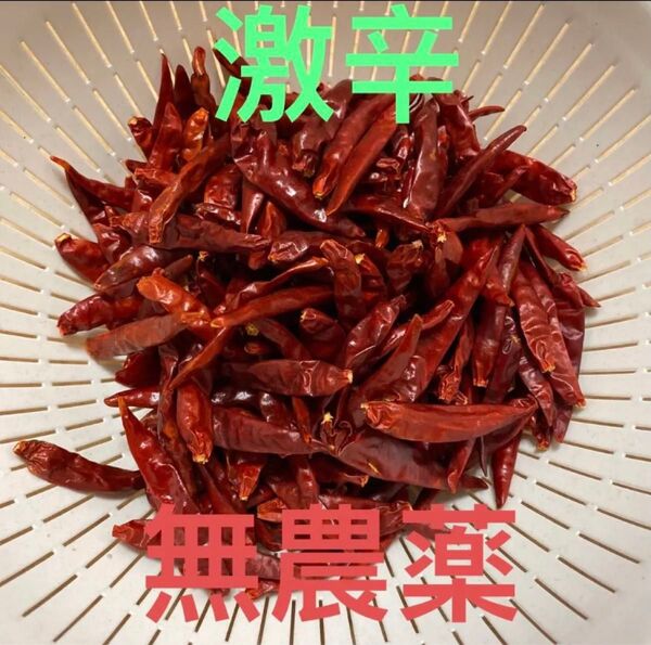 鷹の爪 赤唐辛子 50g栽培無農薬鷹の爪 乾燥赤唐辛子 トウガラシ