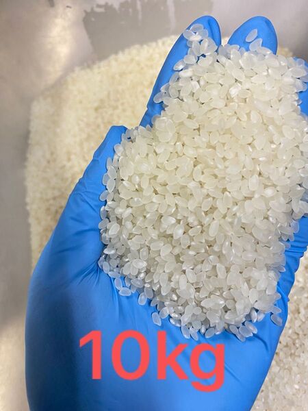 令和6年 美味しい新米 コシヒカリ 10キロ