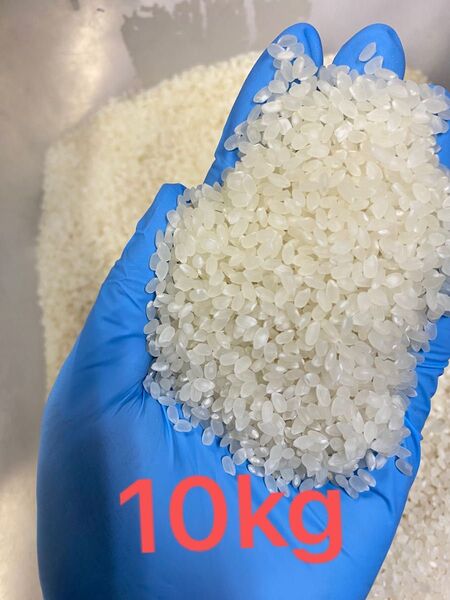 令和6年 美味しい新米 コシヒカリ 10キロ