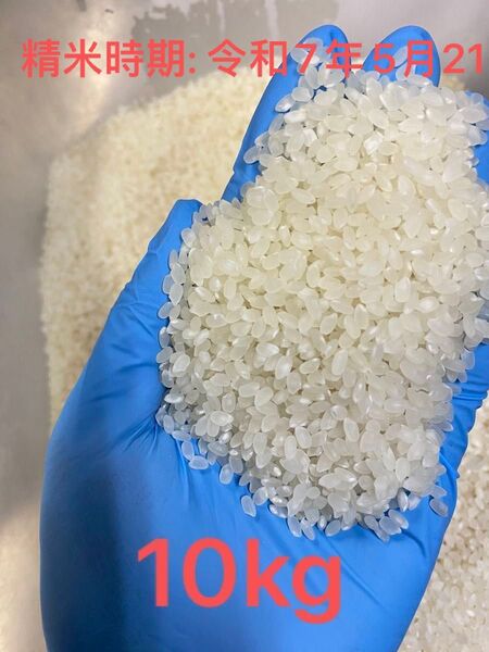 令和6年 美味しい新米 コシヒカリ 10キロ 精米時期: 令和7年5月21日