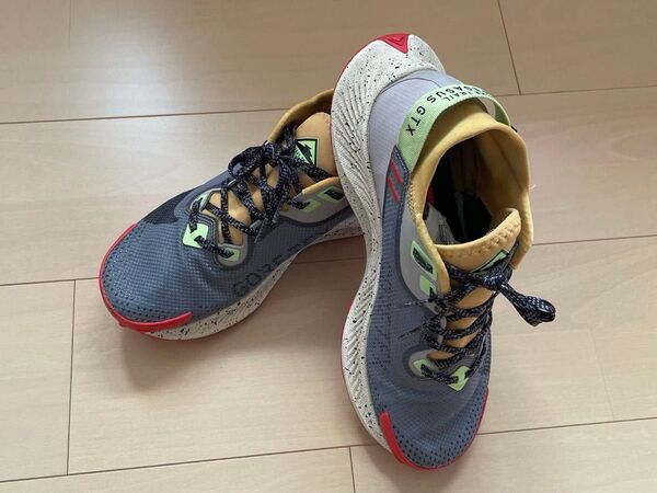 NIKE ナイキ ペガサス トレイル GTX GORE-TEX サイズ26.0