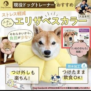 ☆未使用☆DogGarden エリザベスカラー 猫用犬用 もちもち(ピンクS)