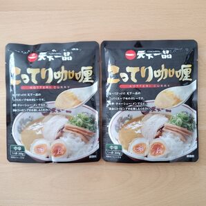 匿名配送:天下一品 こってりカレー 中辛 1人前200g ×2個
