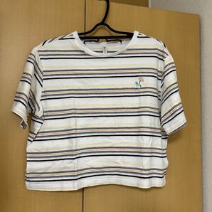 ボーダートップス