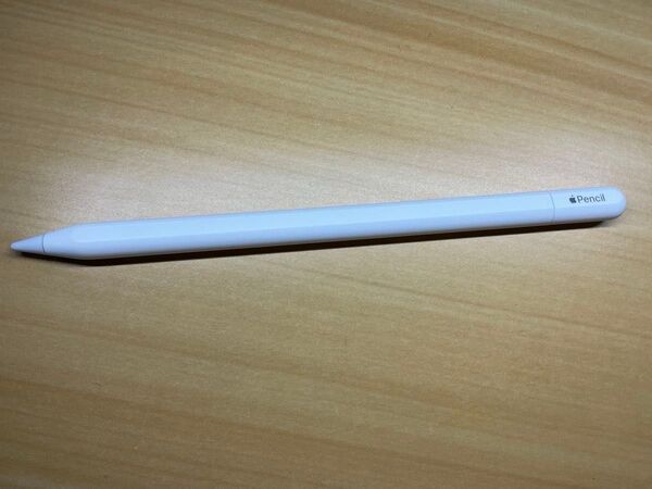 Apple Pencil (USB-C) 本体のみ