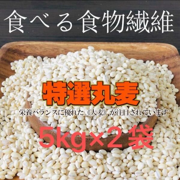 もっちもち大麦 特選丸麦 国産100% 5kg×2袋
