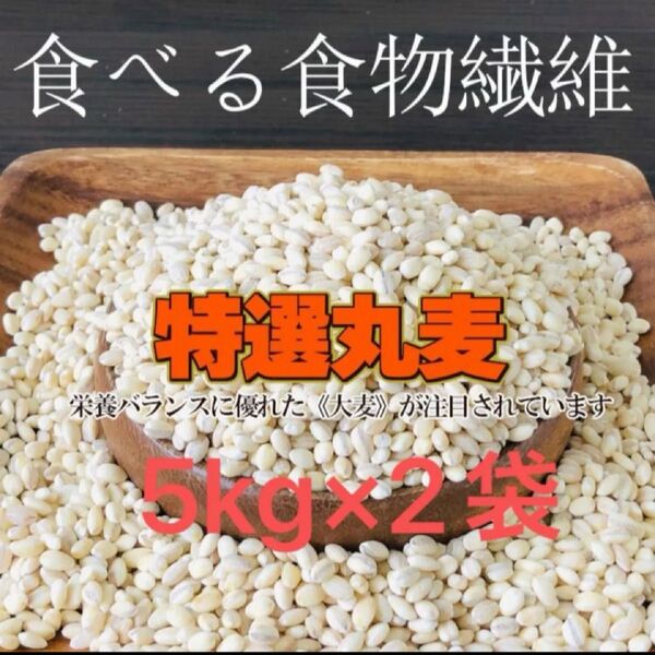 もっちもち大麦 特選丸麦 国産100% 5kg×2袋