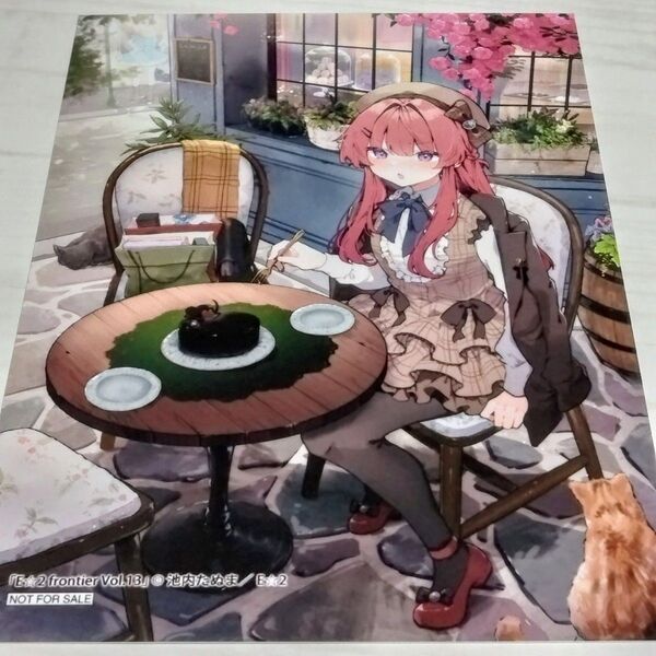 e☆2 frontier vol.13 ゲーマーズ特典 池内たぬま ブロマイド 未使用新品