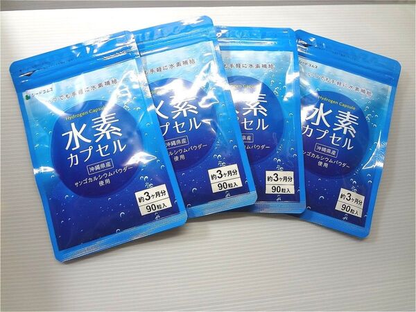 水素カプセル 約12ヶ月分(約3ヶ月×4袋) サンゴカルシウムパウダー使用 サプリメント シードコムス