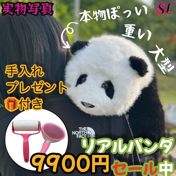 リアルで癒される!5ヶ月齢パンダ ぬいぐるみ登場 ファファ まるで本物!ふわふわ癒し抱きしめたくなるリアル感