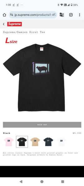 Supreme/Damien Hirst Tee "Black" L シュプリーム Tシャツ 半袖