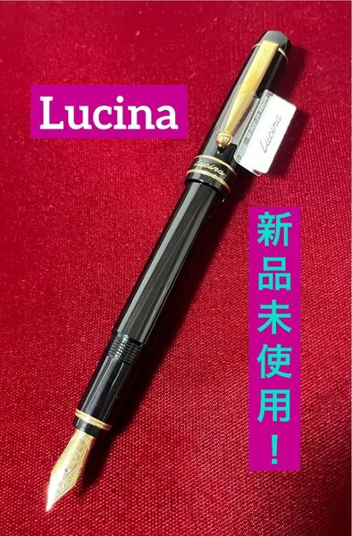 新品未使用 ルシーナ 万年筆 (細字)F ブラック パイロット pilot 廃盤 美品!