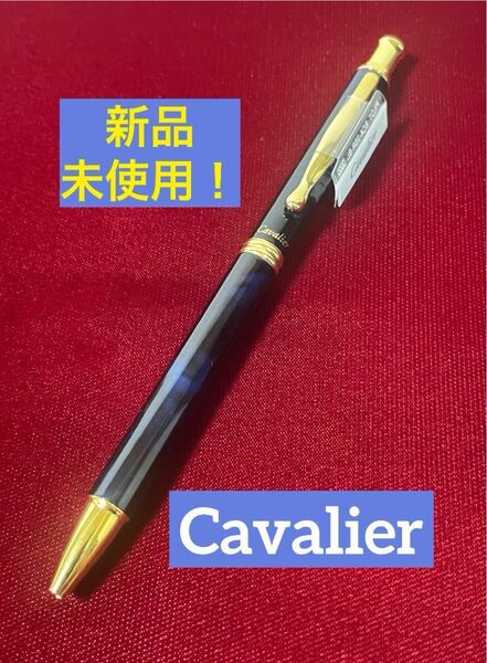 廃盤 未使用 パイロット カヴァリエ マリンブルーマーブル ボールペン0.7 初期型