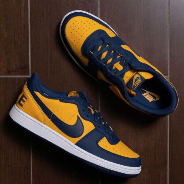 ★NIKE / TERMINATOR LOW OG MICHIGAN US9.5/27.5cm 新品未使用
