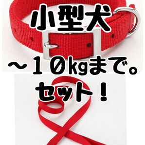 ワンコイン!小型犬用Sサイズ10kgまで●シンプルワンタッチ首輪リードセット!赤