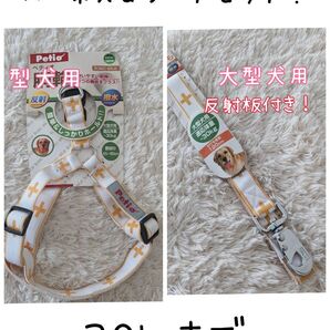 特別セール!ペティオ 30kg大型犬 夜間反射!胴輪リードセット! ハーネス クロスオレンジ紀州犬