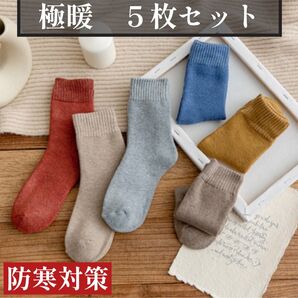# レディースソックス5足組 22~25cm寒い日の定番アイテム 生地厚 高品質 裏パイル
