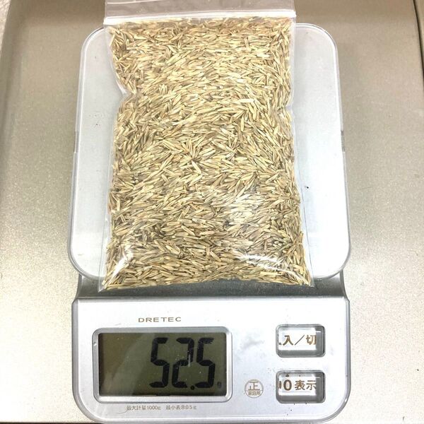 イタリアンライグラスの種50g