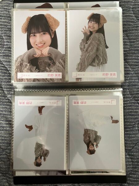 櫻坂46 的野美青 いぬみみ 生写真 コンプ
