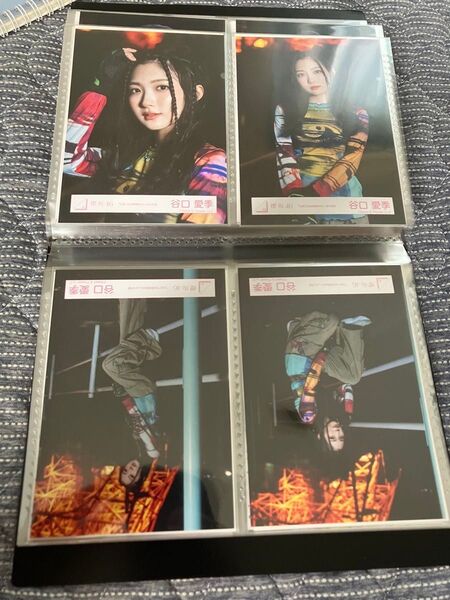 櫻坂46 谷口愛季 引きこもる時間はない 生写真 コンプ