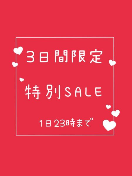 straykids スキズ skzoo フィリックス ポガリ カードホルダー カードケース 【商品説明欄必須】