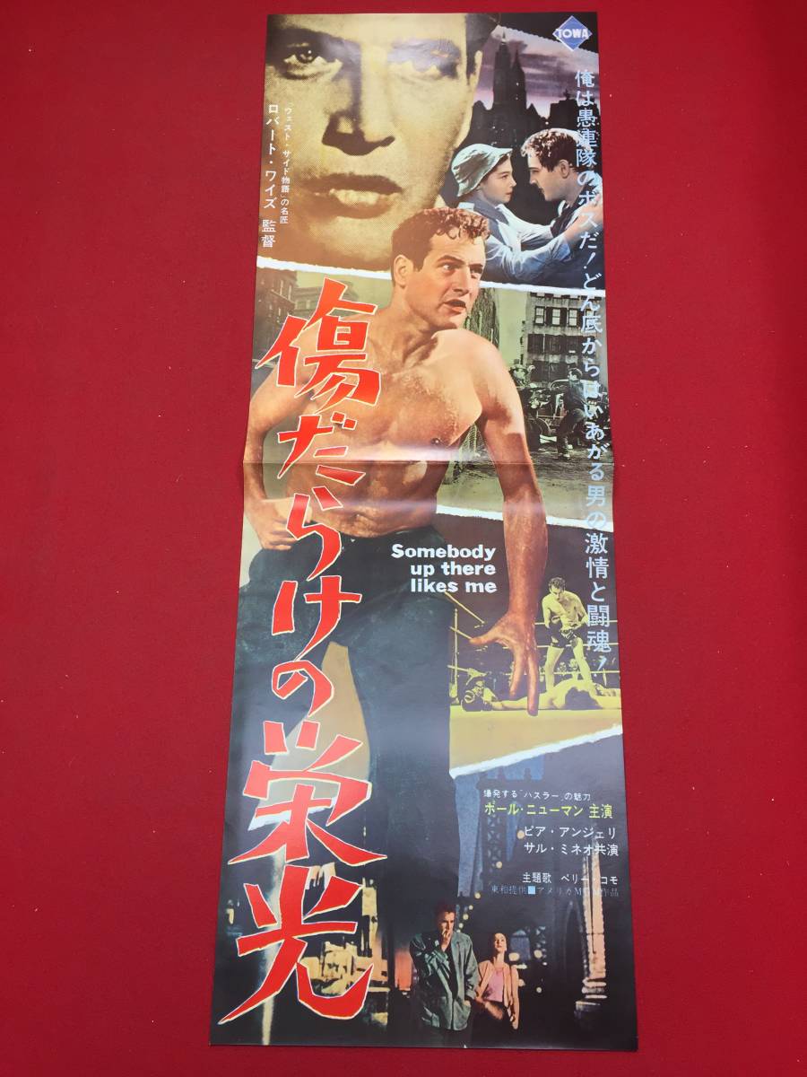 【海外限定】 2025年最新】Yahoo!オークション -傷だらけの栄光(ポスター)の その他