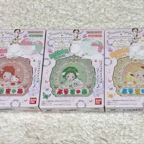 バンダイ サンリオキャラクターズ パチパチデコネーム プリキュア3種