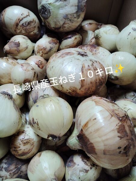 15日までの出品〜長崎県産規格外玉ねぎ10キロ