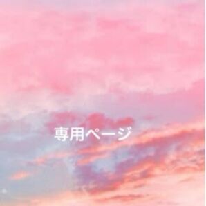 専用ページ 2速