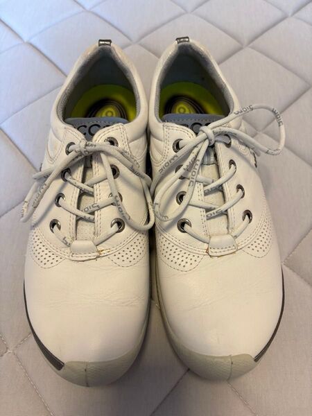 エコー ECCO HYDR MAX 10054301007 ゴルフシューズ レディース 24.5cm