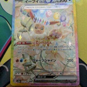 イーブイex SAR テラスタルフェスex
