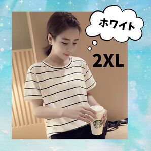 【2XL】レディース ボーダーTシャツ ストライプ 半袖 夏服 おしゃれ 韓国 ホワイト