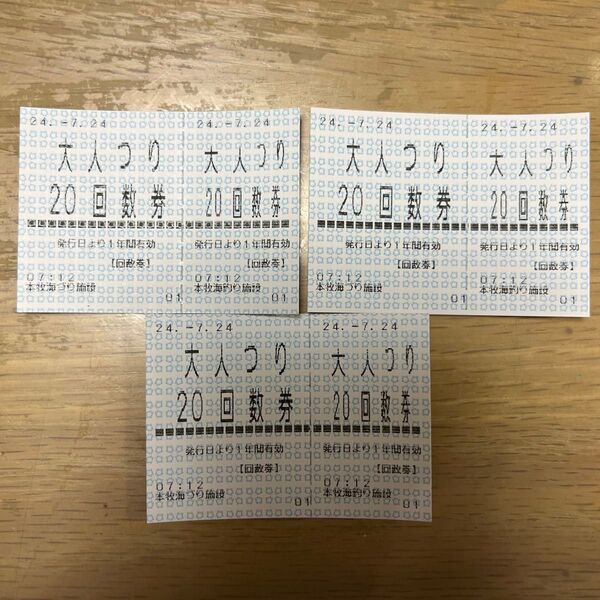 本牧海釣り施設 大人つり回数券 3枚セット