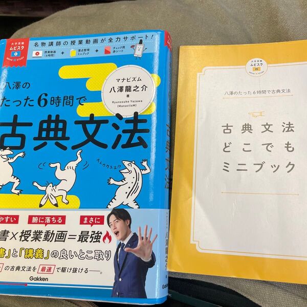 八澤のたった6時間で古典文法