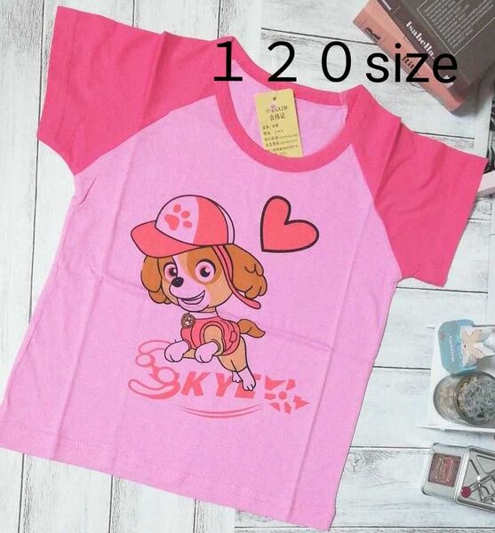 パウパトロール Tシャツ 半袖 120 スカイ 濃いピンク