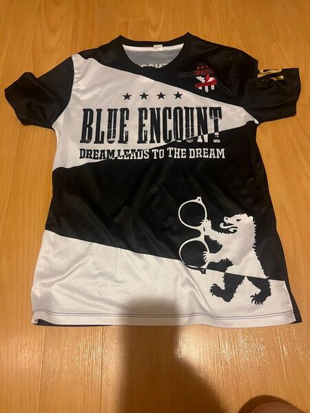 BLUE ENCOUNT Tシャツ Mサイズ