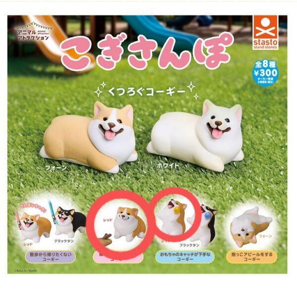 こぎさんぽ 2点セット