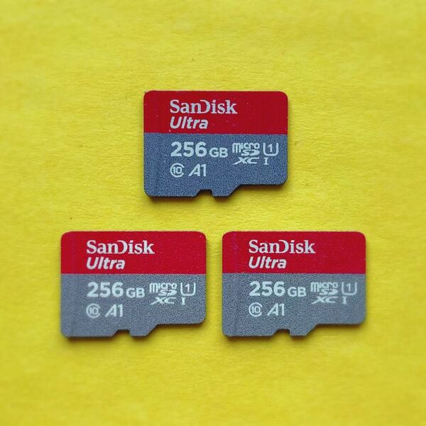 ★動作確認済み★SanDisk★256GB★マイクロSDカードmicroSDカードmicroSDXCカード★メモリーカード256G