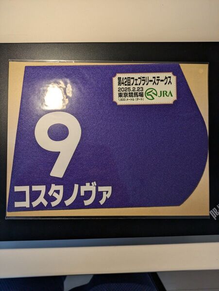 【入手困難】競馬グッズ☆コスタノヴァ☆2025フェブラリーS☆ミニゼッケン