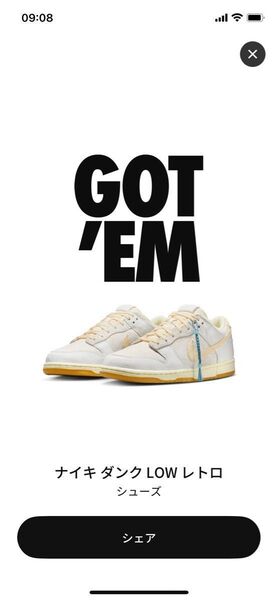 Nike Dunk Low Retro QS City Pack "Tokyo" (Japan Exclusive) 28cm