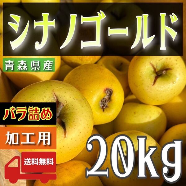 " シナノゴールド "【青森県産りんご20kg】【産地直送】【即購入OK】【送料無料】加工用 りんご リンゴ 林檎