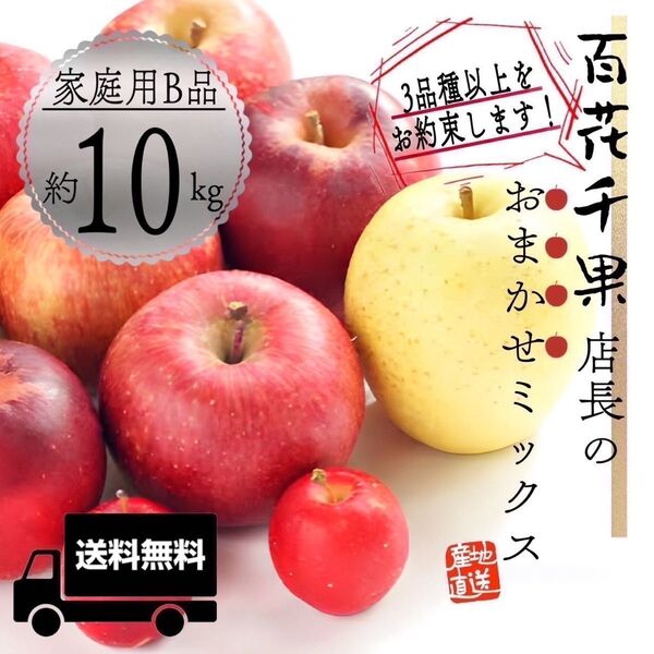 "店長おまかせミックス"【青森県産りんご10kg】【産地直送】【即購入OK】【送料無料】家庭用 りんご リンゴ 林檎