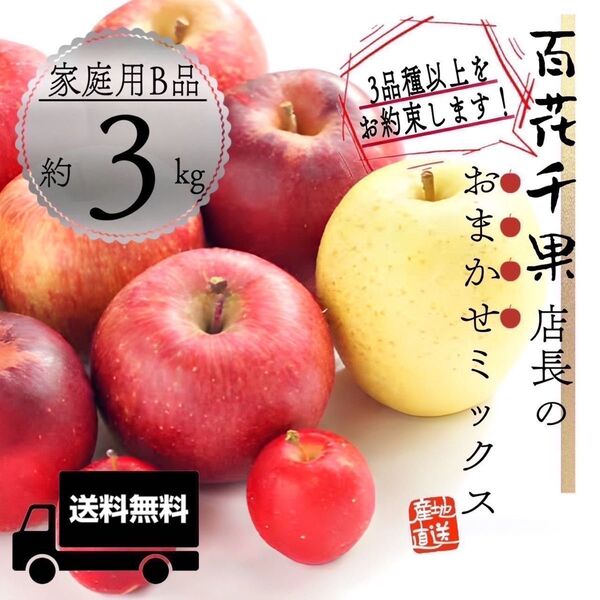 "店長おまかせミックス"【青森県産りんご3kg】【産地直送】【即購入OK】【送料無料】家庭用 りんご リンゴ 林檎