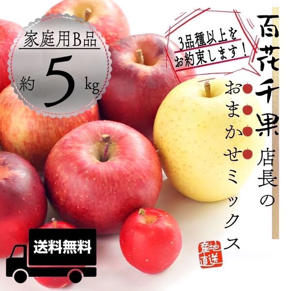 "店長おまかせミックス"【青森県産りんご5kg】【産地直送】【即購入OK】【送料無料】家庭用 りんご リンゴ 林檎