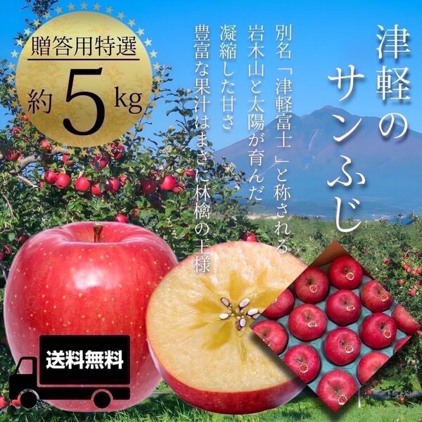 " サンふじ "【青森県産りんご5kg】【産地直送】【即購入OK】【送料無料】贈答用 りんご リンゴ 林檎