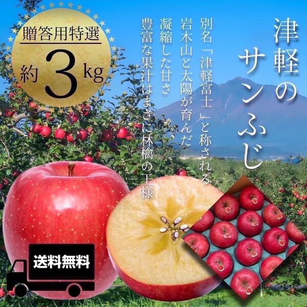 " サンふじ "【青森県産りんご3kg】【産地直送】【即購入OK】【送料無料】贈答用 りんご リンゴ 林檎