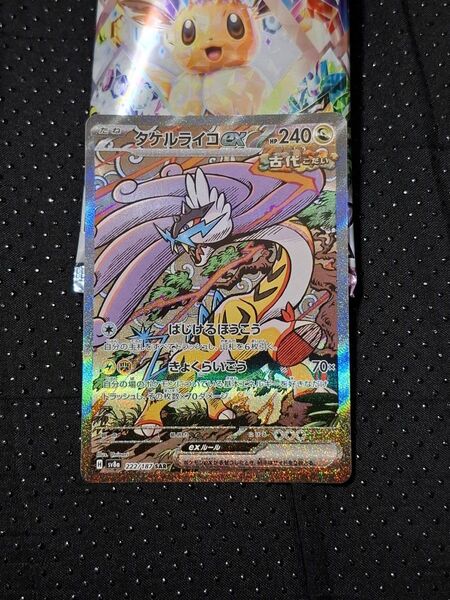 タケルライコex SAR☆テラスタルフェスex☆ポケモンカード ハイクラスパック sar